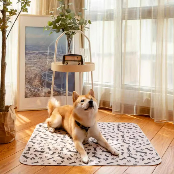 Tappetino™ - assorbente e lavabile